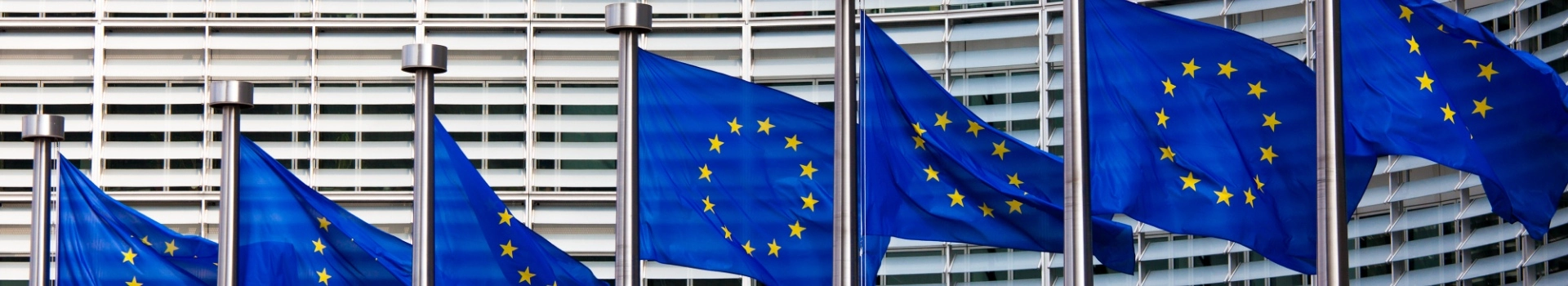 flagi unii europejskiej