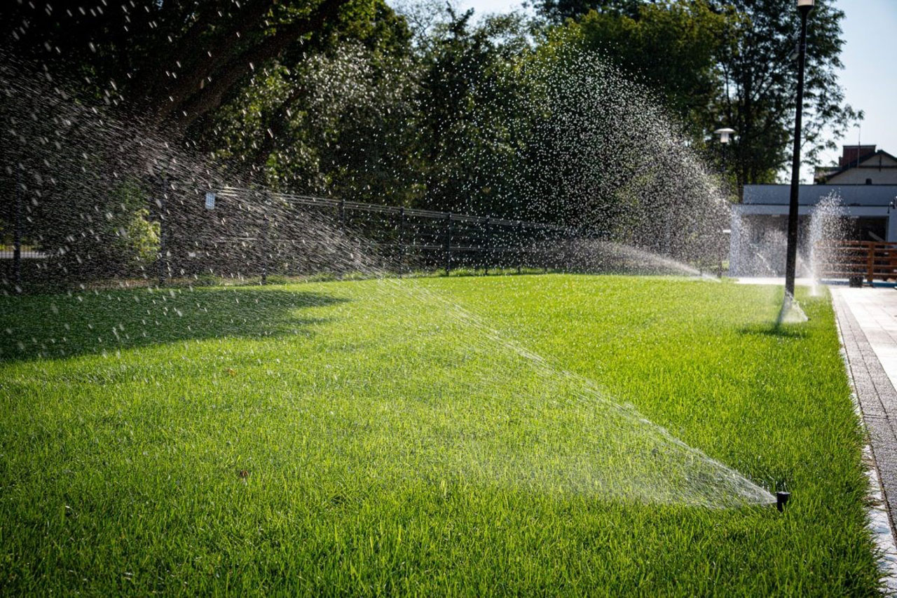 Żyrardów kompleks basenów